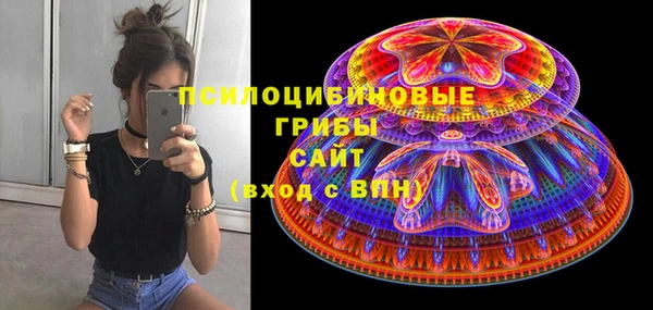 индика Аркадак