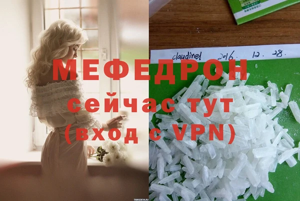 индика Аркадак