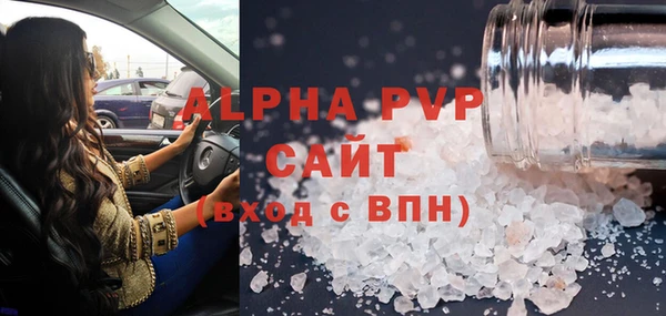 индика Аркадак