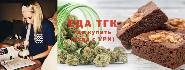 индика Аркадак