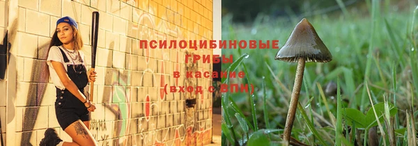 индика Аркадак