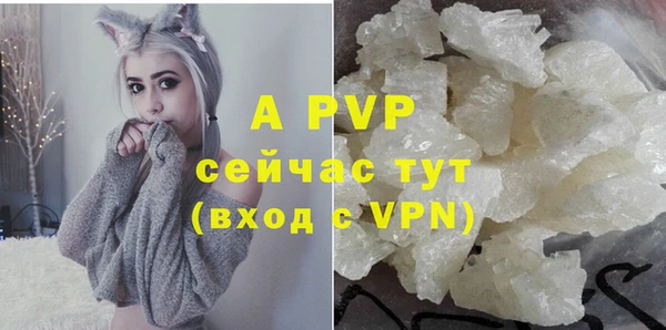 индика Аркадак